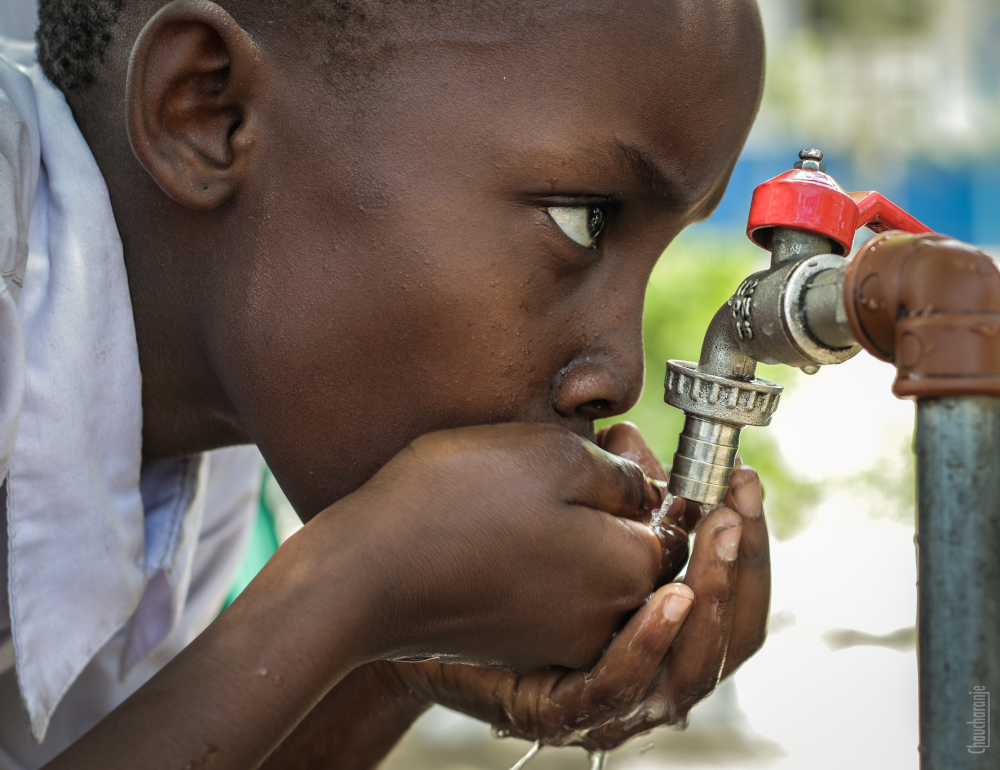 Drink Up: The Surprising Benefits of Proper Hydration for Your Health and Well-Being